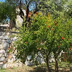 Paparouna Villa Patitiri