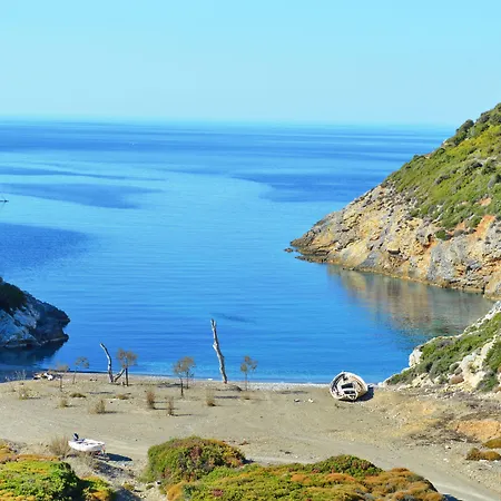 Paparouna * パティティリ