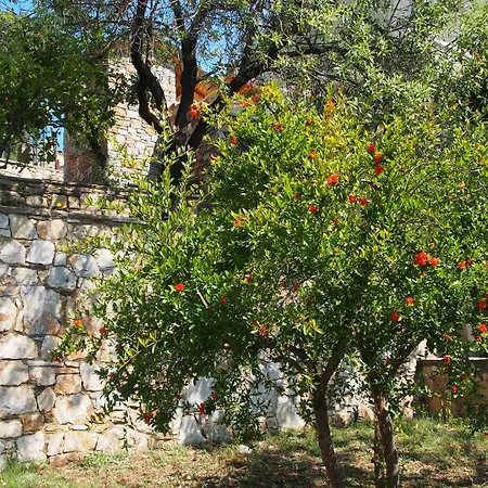 Paparouna ヴィラ パティティリ