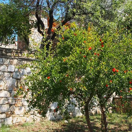 Paparouna 别墅 帕蒂迪里奥