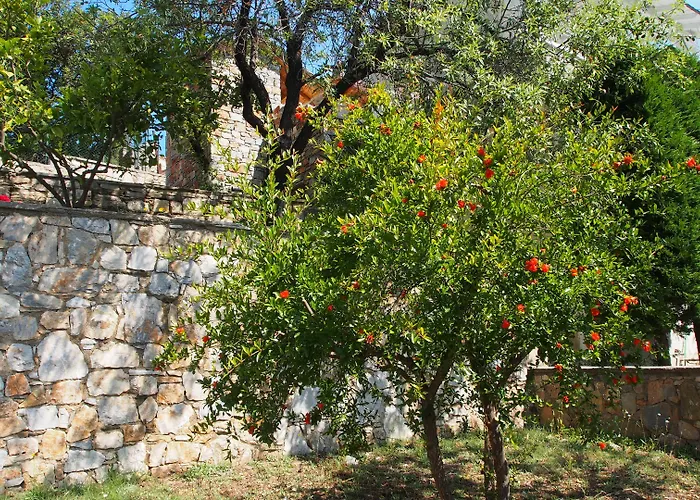 Paparouna Villa Patitiri